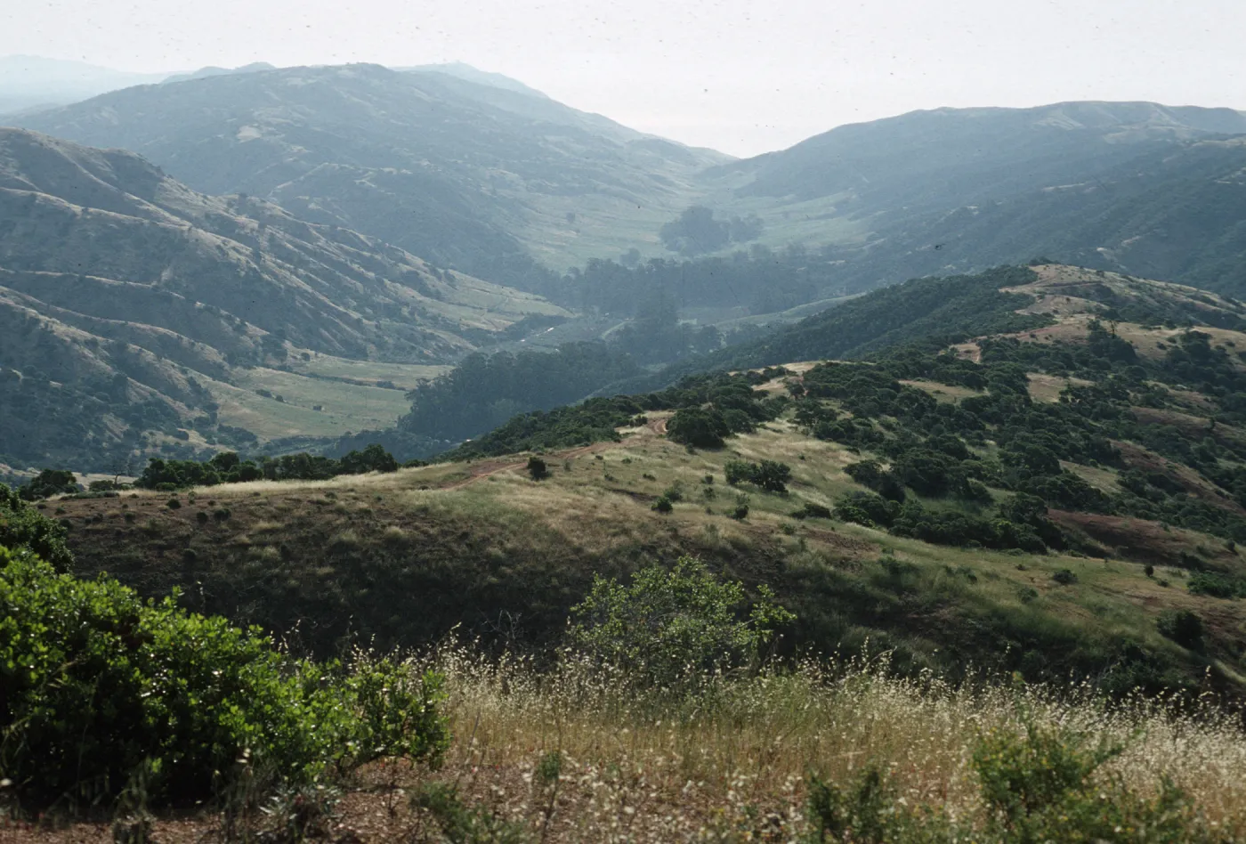 Central Valley, Santa Cruz Island