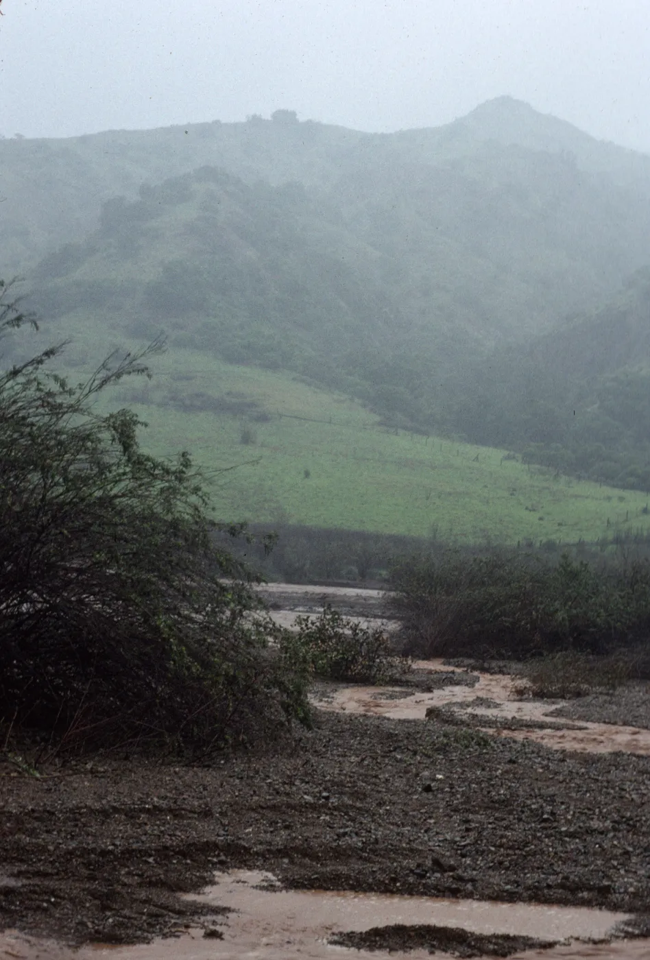 Flash flood, Central Valley, Santa Cruz Island