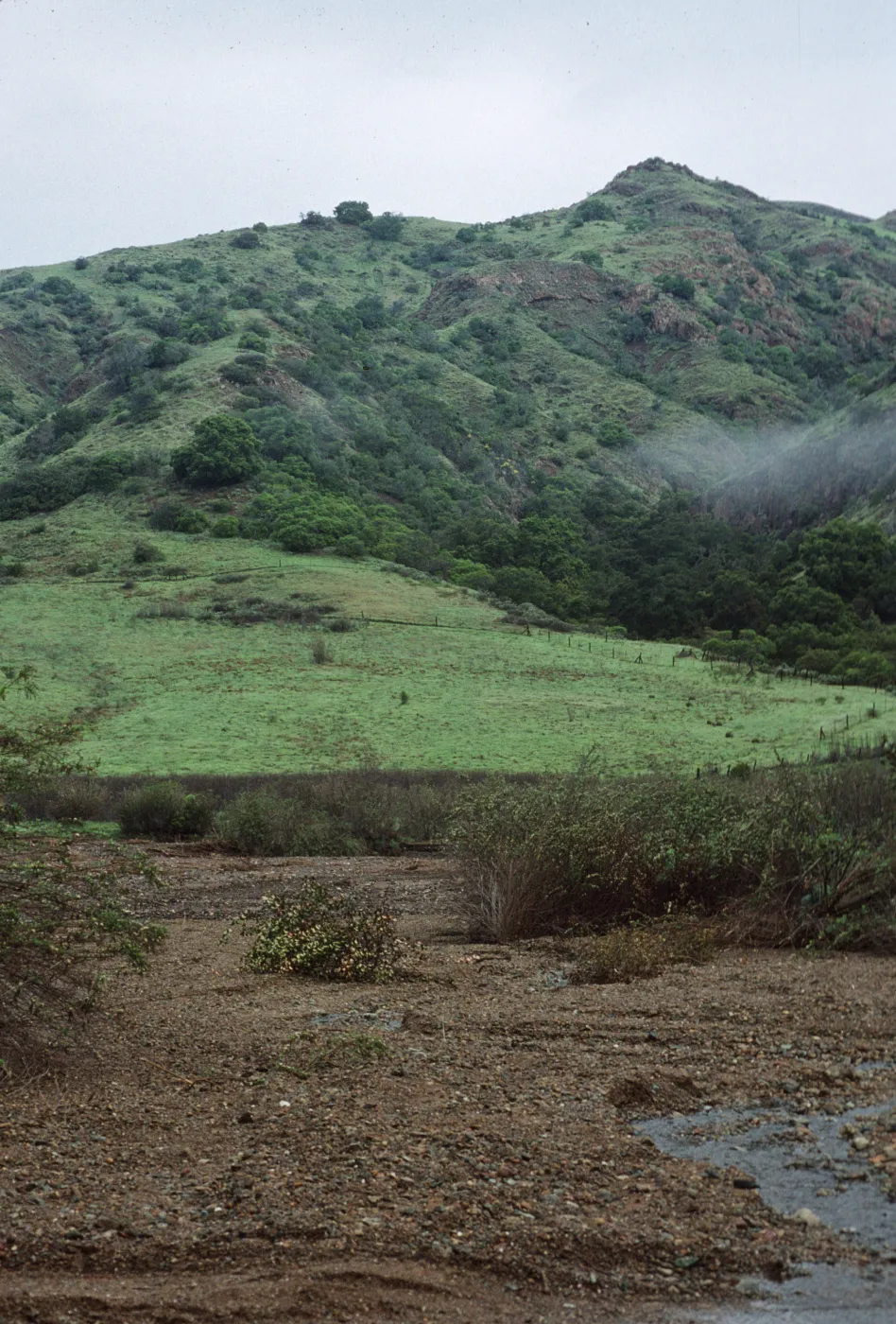 Flood plain, Central Valley, Santa Cruz Island