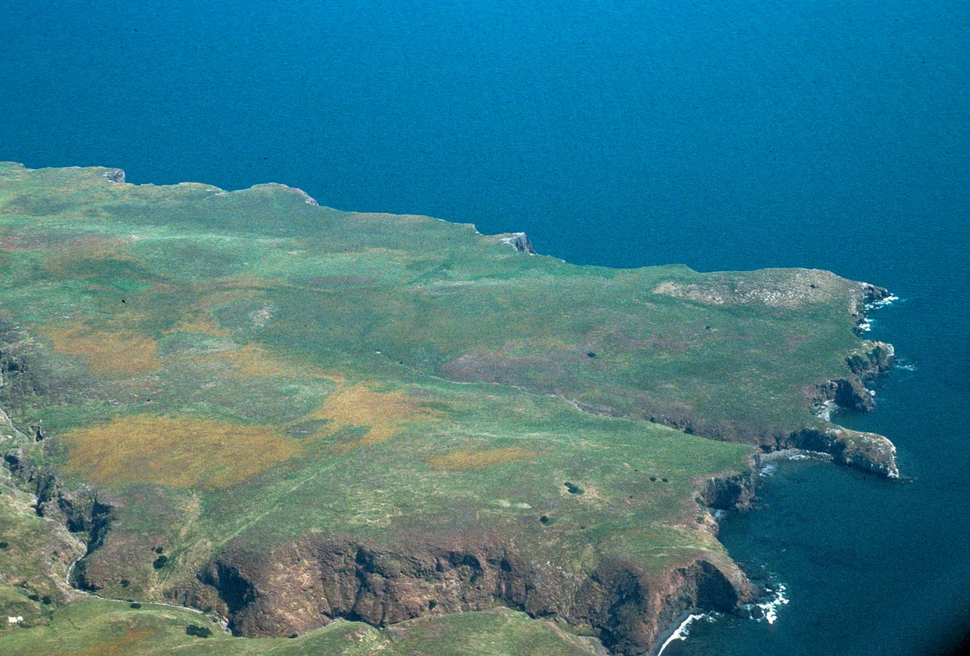San Pedro Point, Santa Cruz Island, from the air