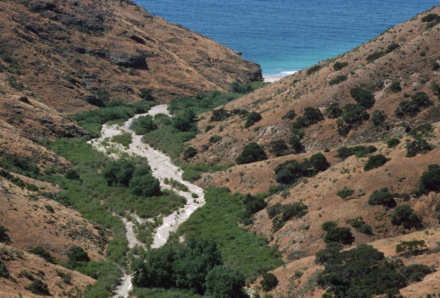 Horqueta Canyon, Santa Cruz Island