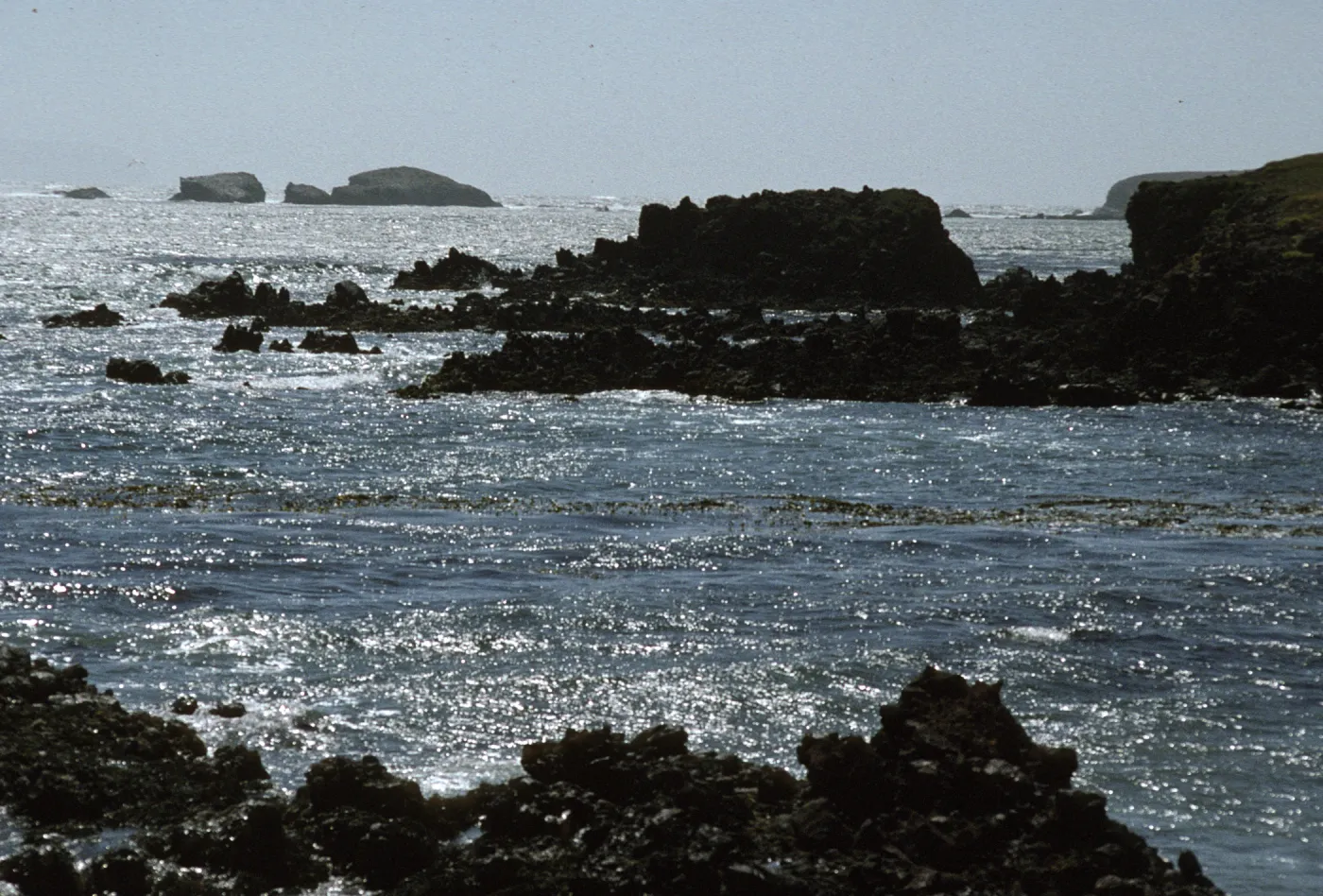 Rocks at Forney Cove, Santa Cruz Island