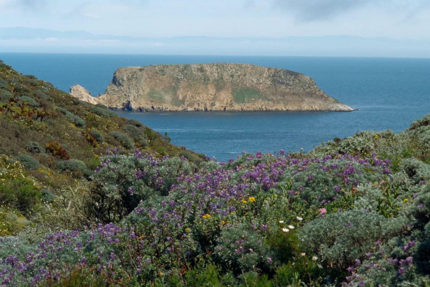 Prince Island, San Miguel Island