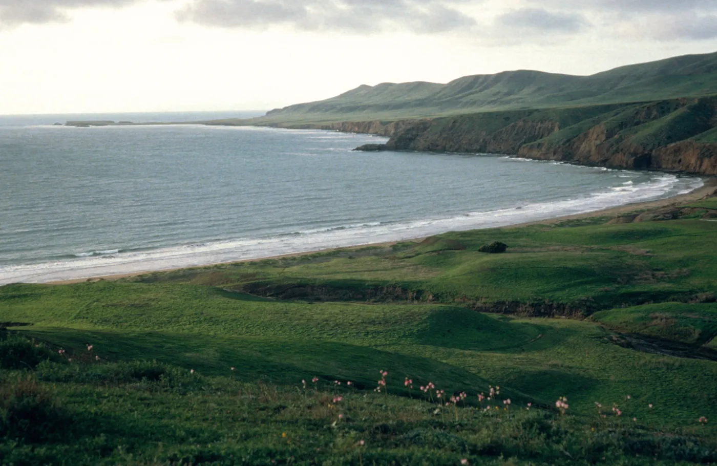 Fraser Point, Santa Cruz Island