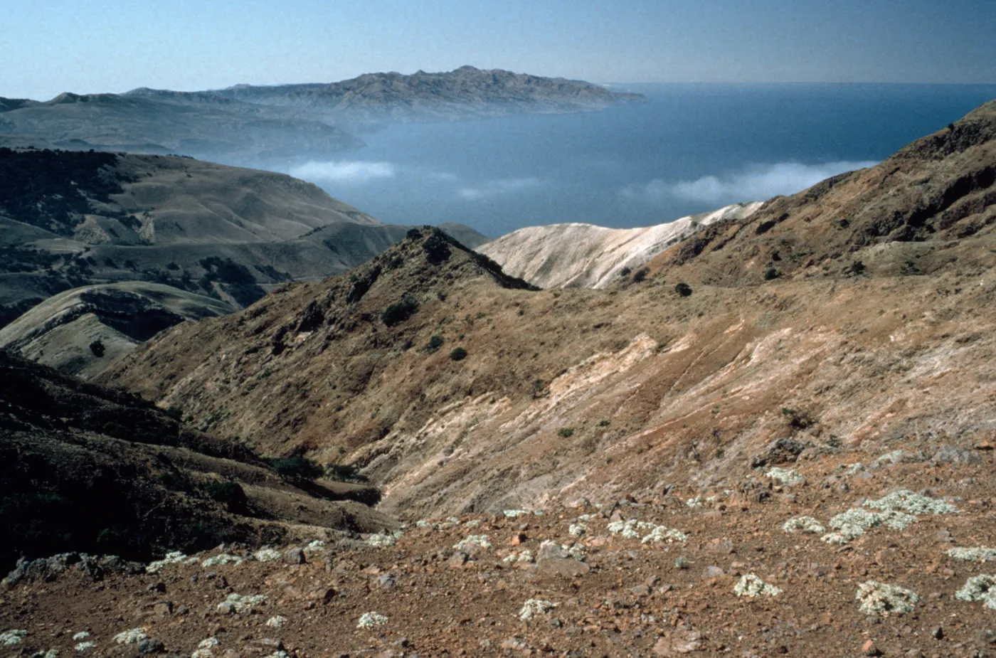 Santa Cruz Island