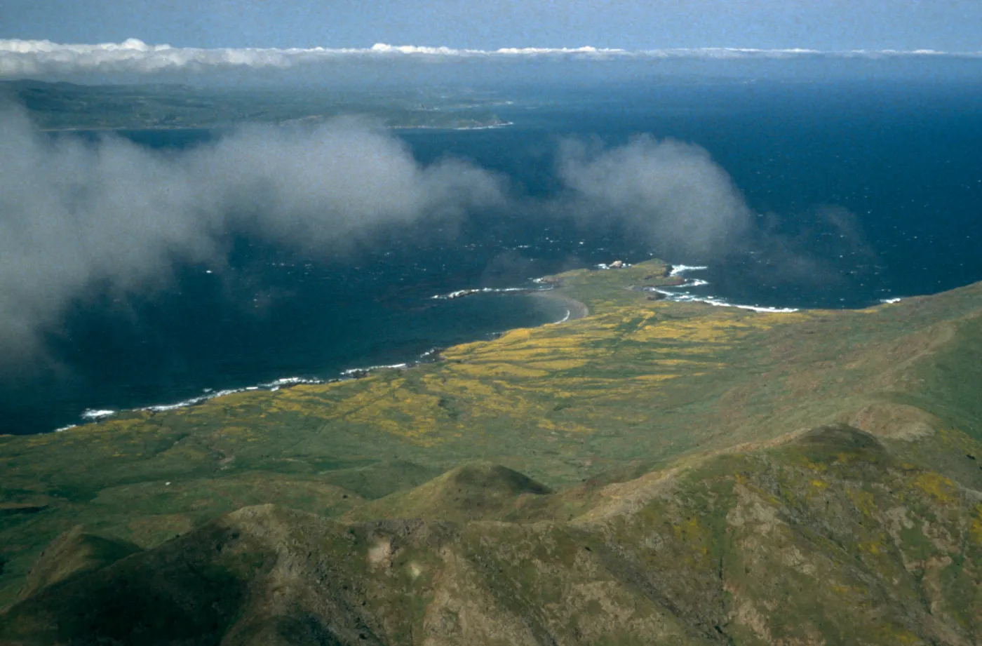Fraser Point and Santa Rosa Island (from above)