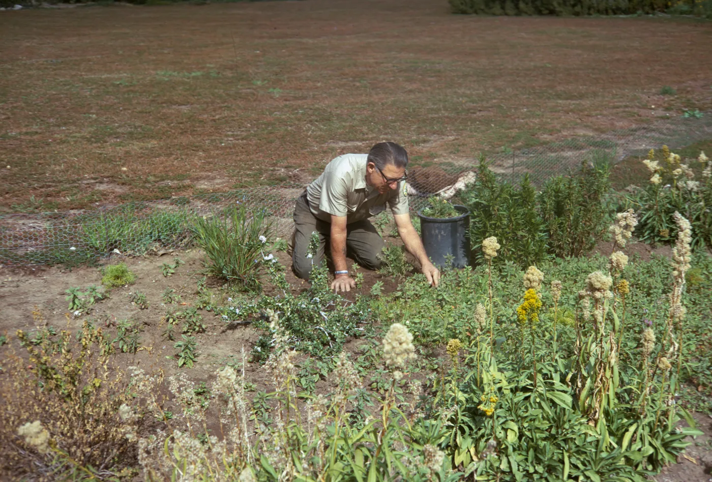 SBBG People - Vic Ceriale by the Meadow