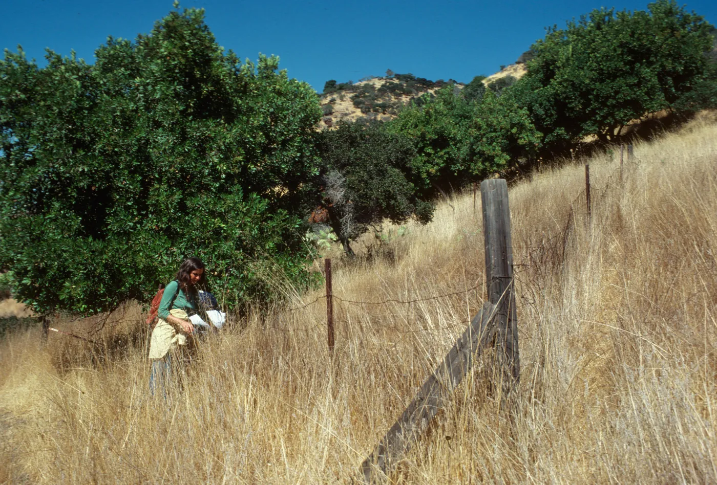 Mary Carroll on Santa Cruz Island