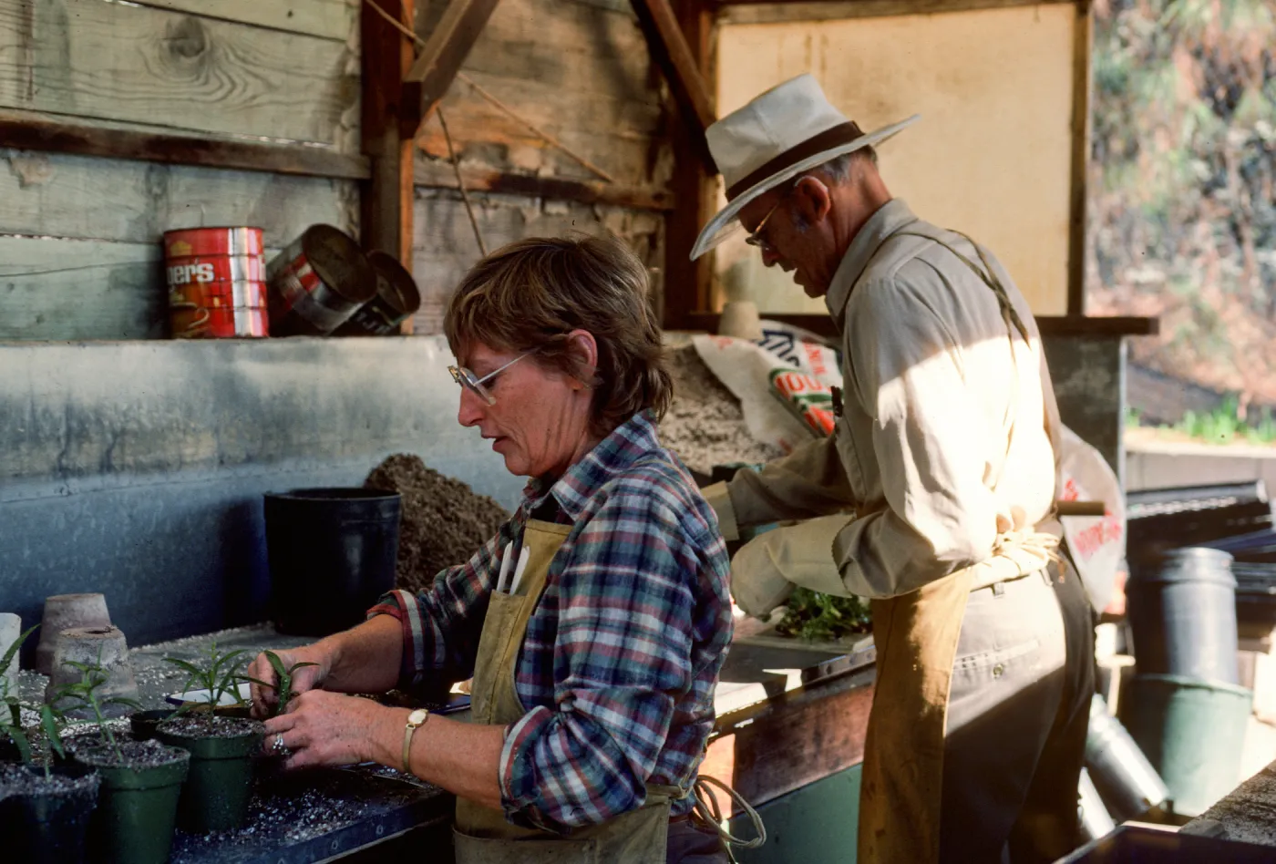 Ann Eldridge and Dara Emery potting plants