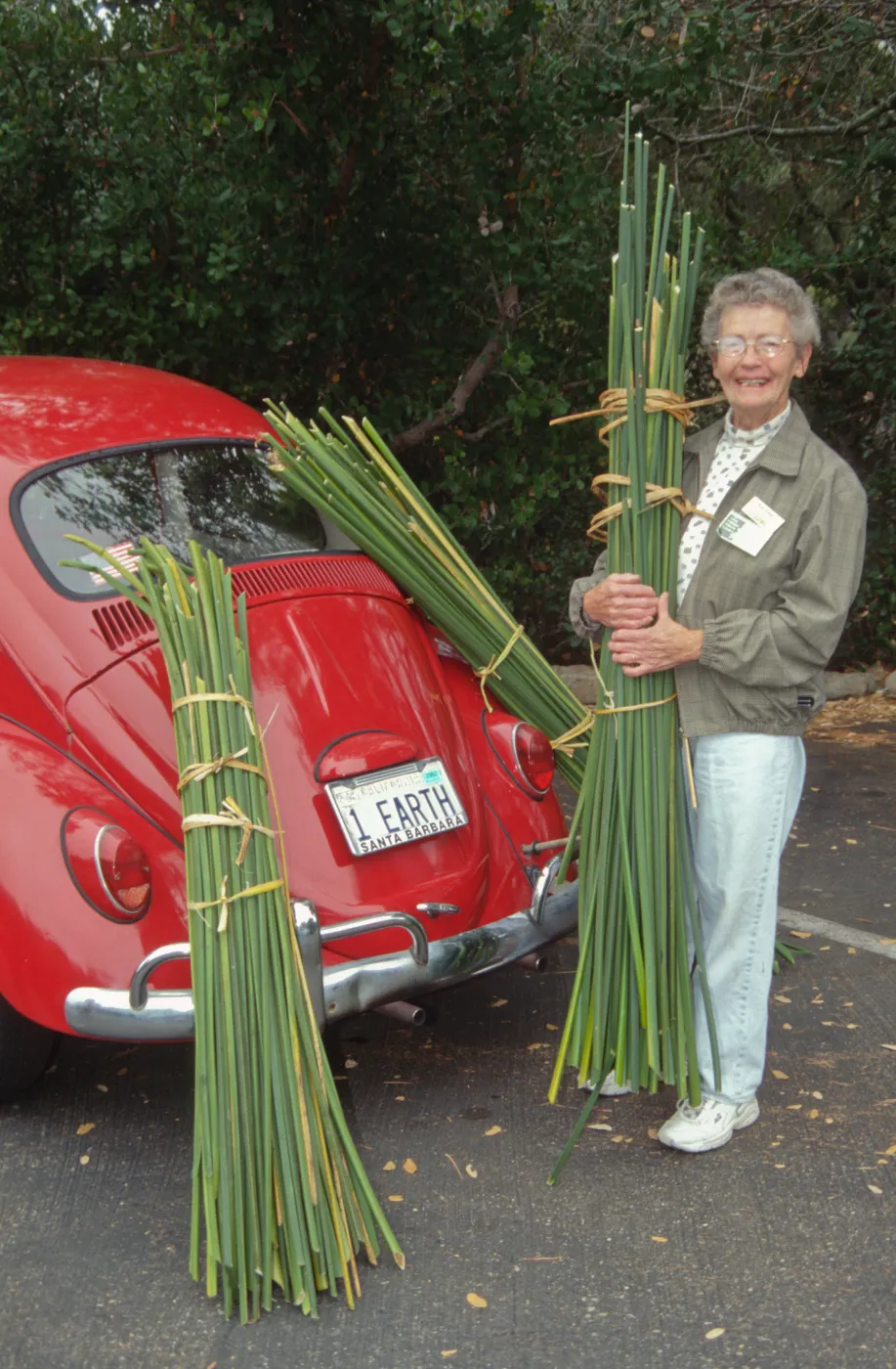 SBBG People - Avis Keedy