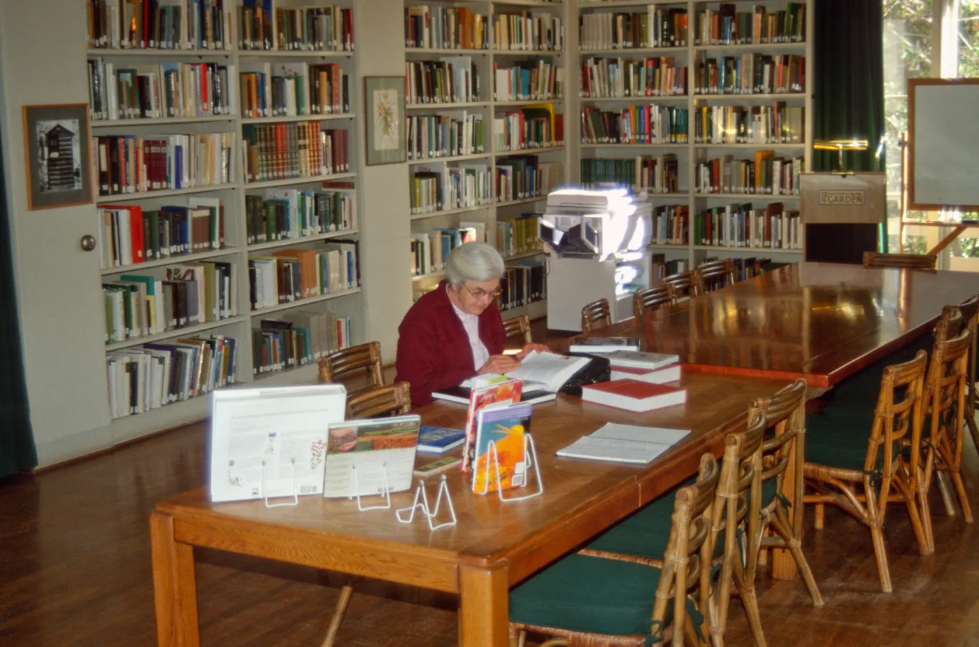 Library volunteer woring in Library