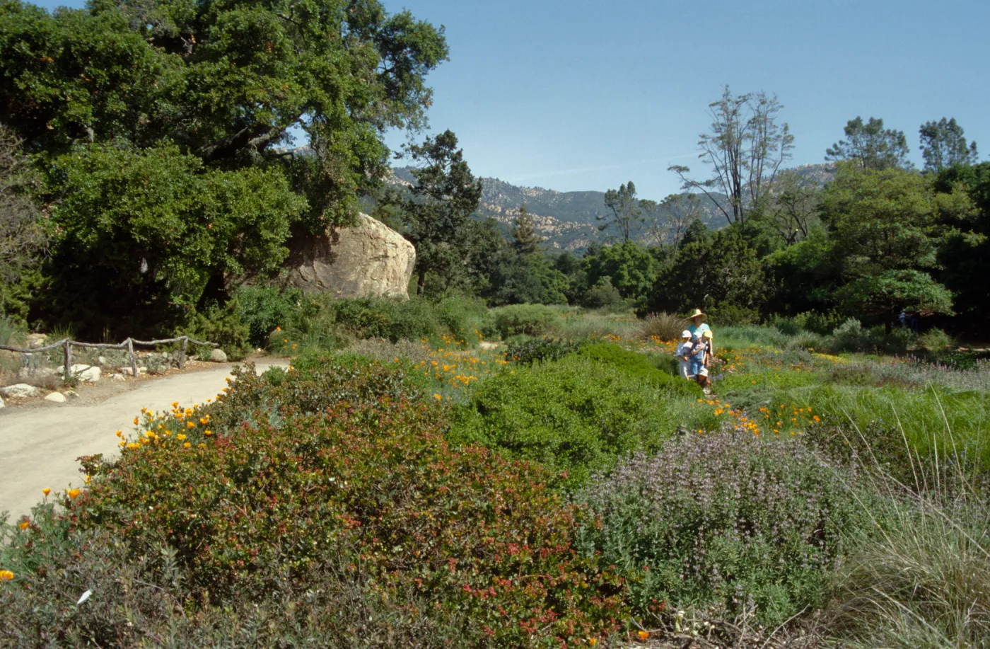 School Children's Tours and Classes, Docent tour in the Meadow