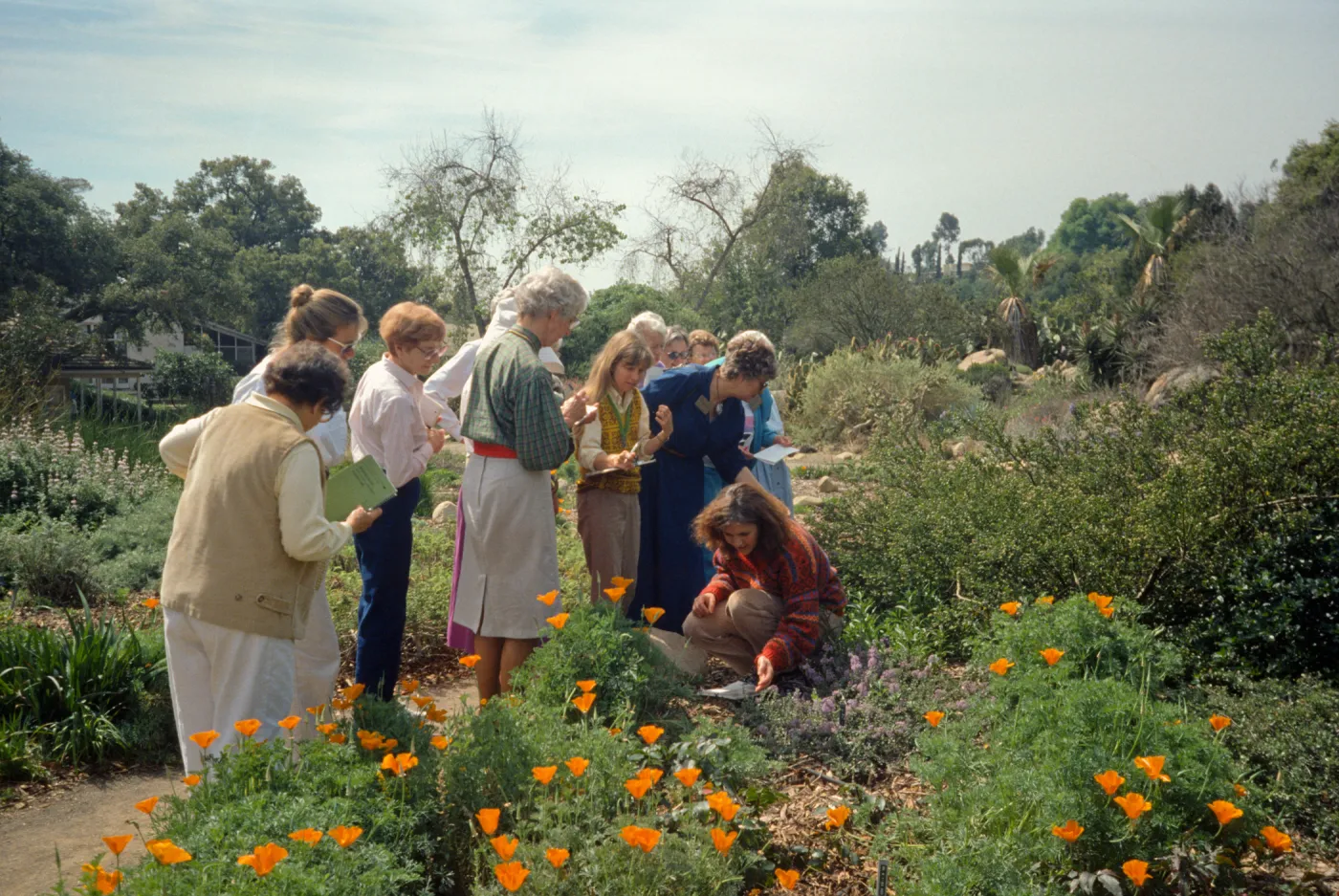 Adult Classes, Porter Trail