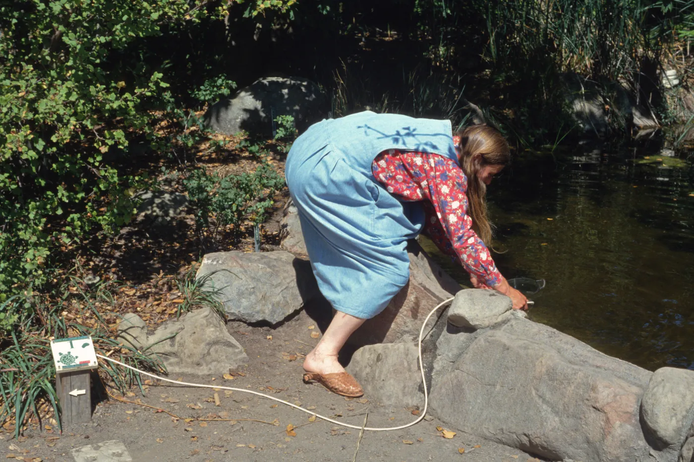 Nature Loves a Detective