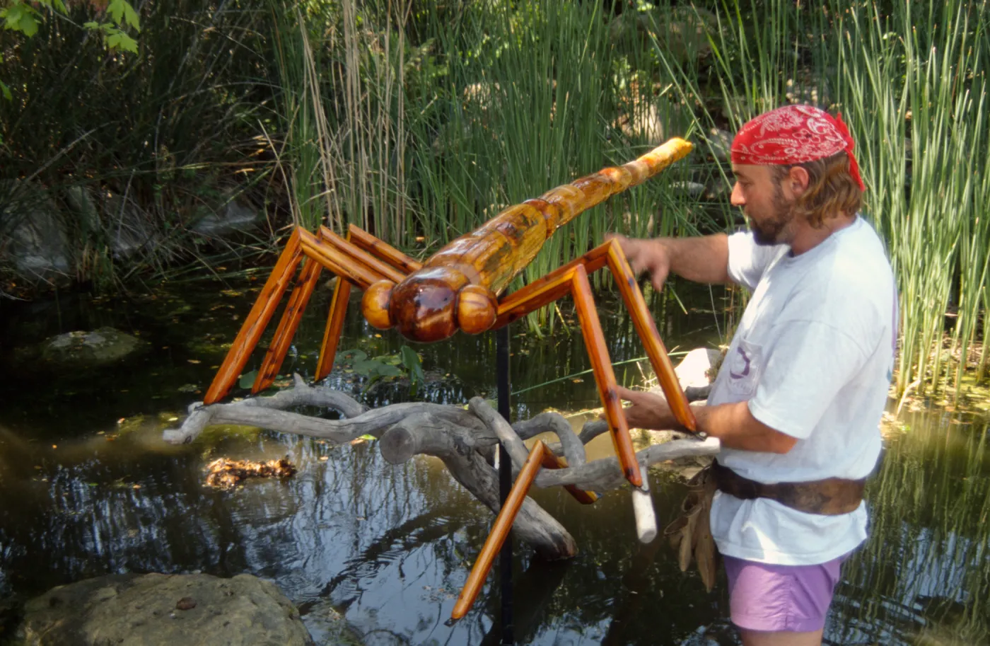 Big Bugs, Dragon Fly setup
