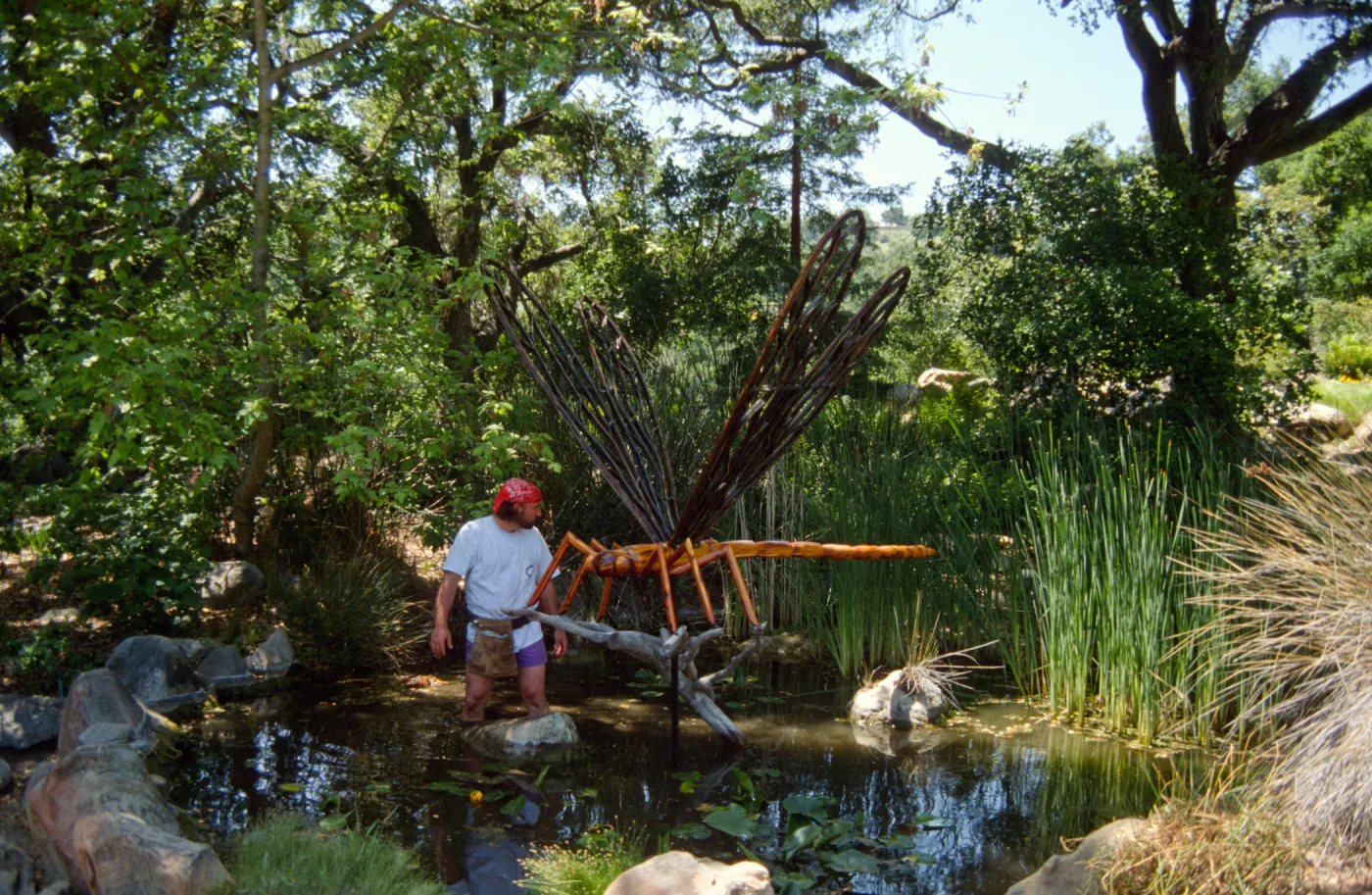Big Bugs, Dragonfly installation in the pond