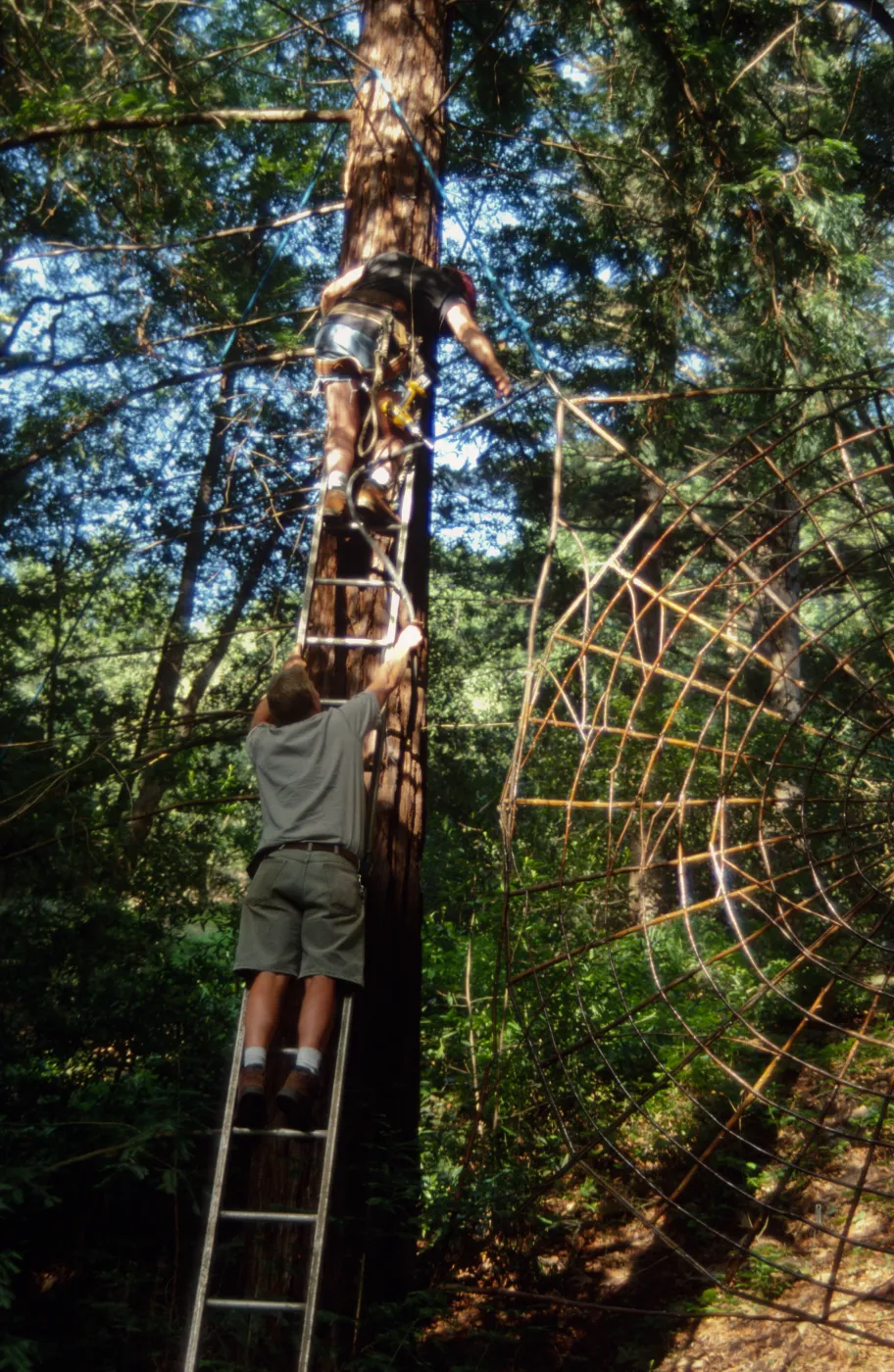 Big Bugs Spider Installation