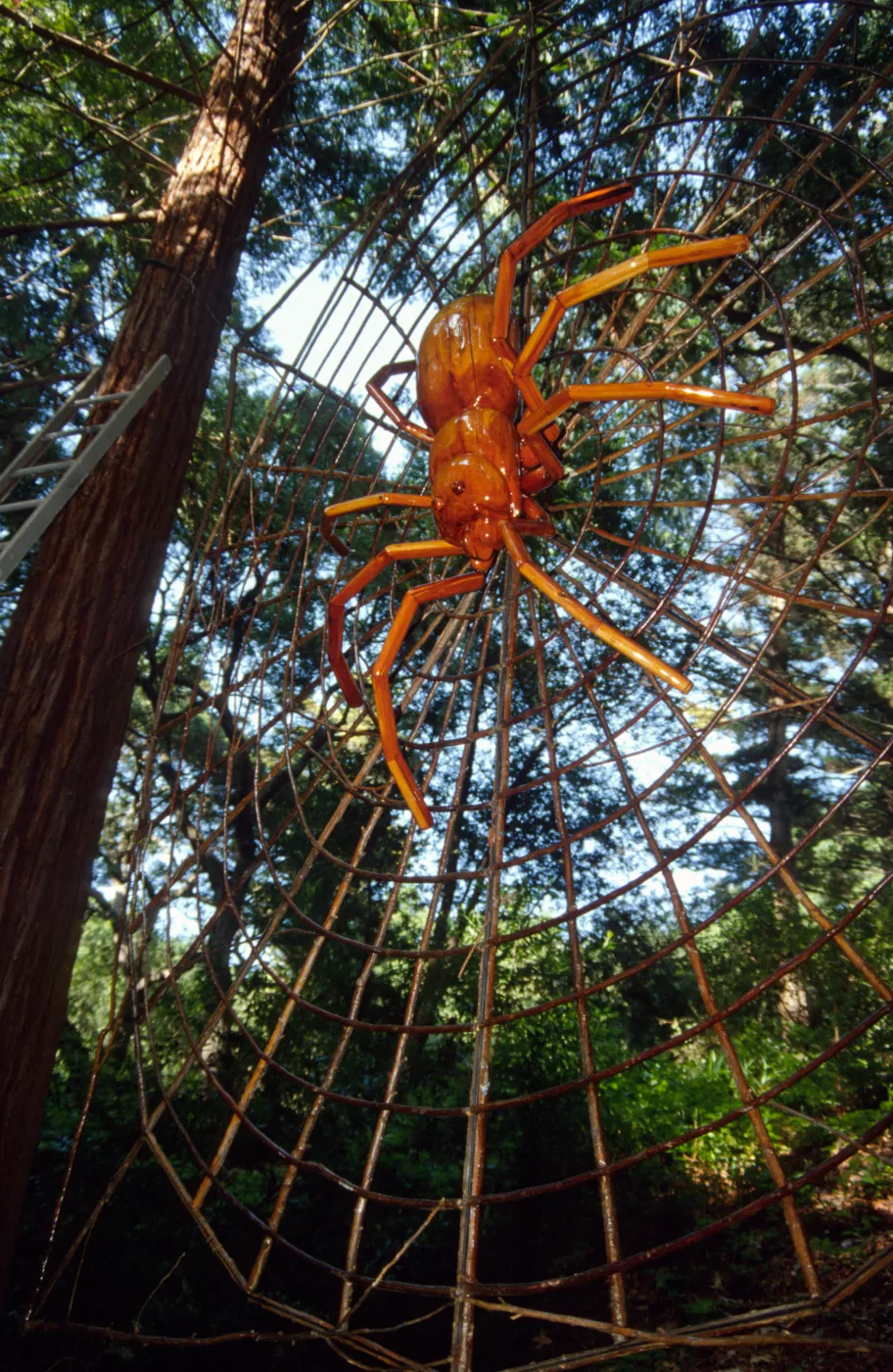 Big Bugs Spider Installation