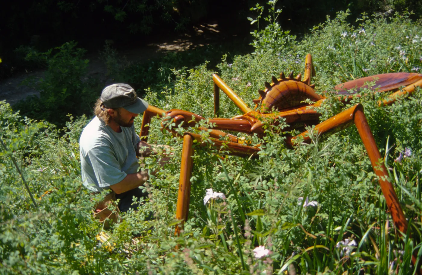 Big Bugs Assassin Bug