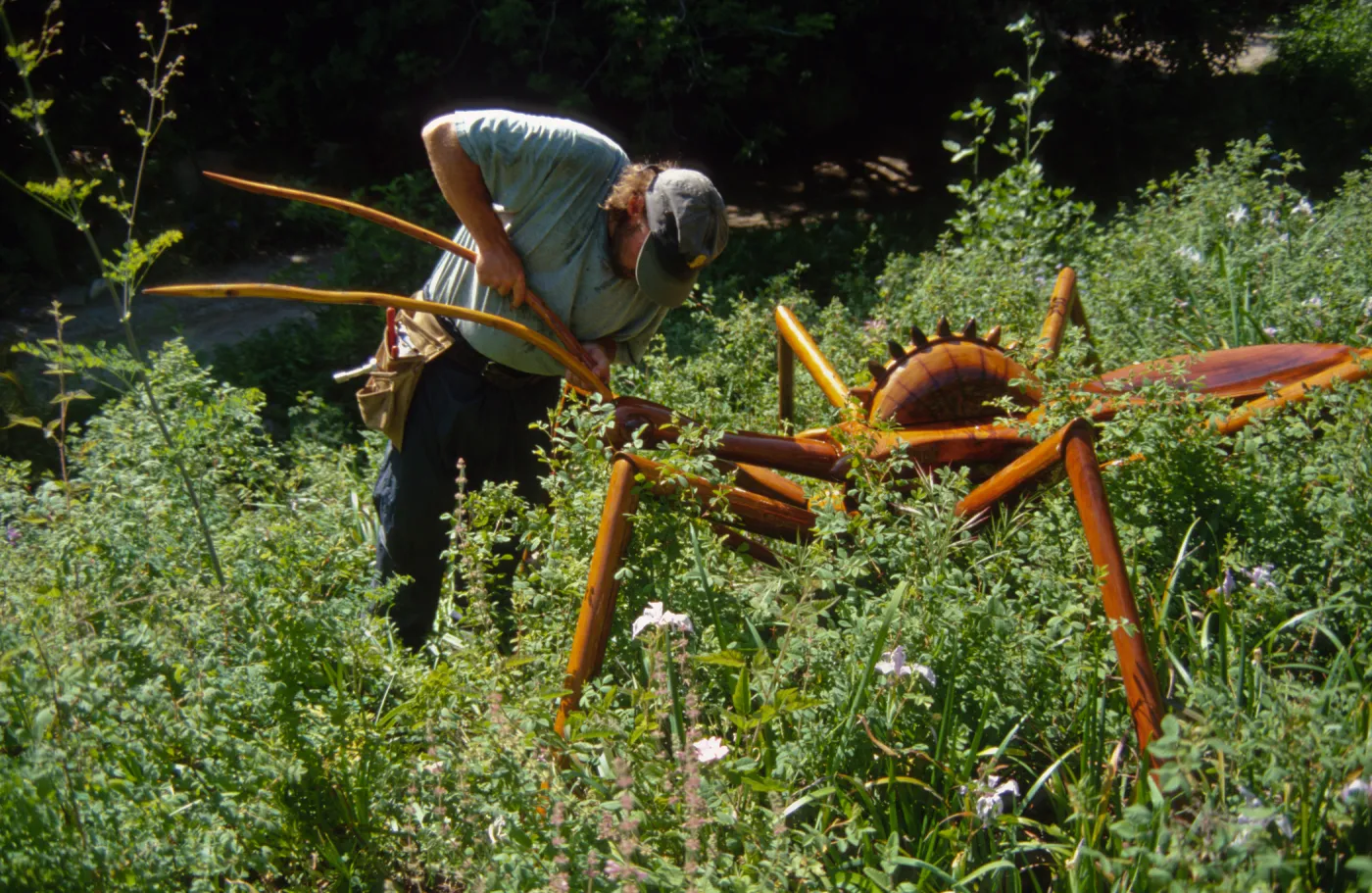Big Bugs Assassin Bug