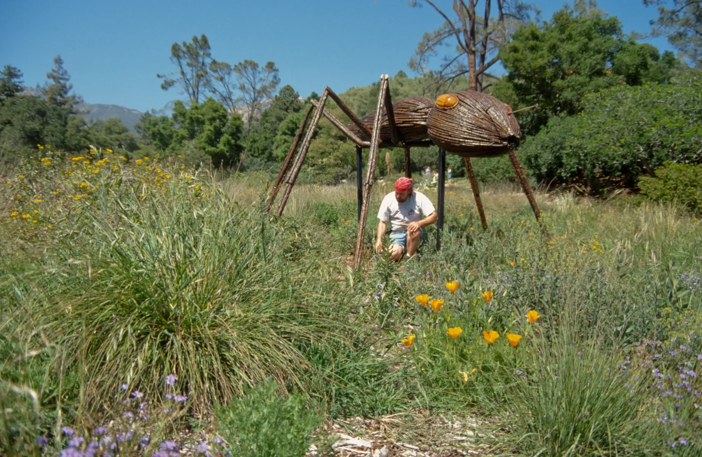 Big Bugs, Ant setup