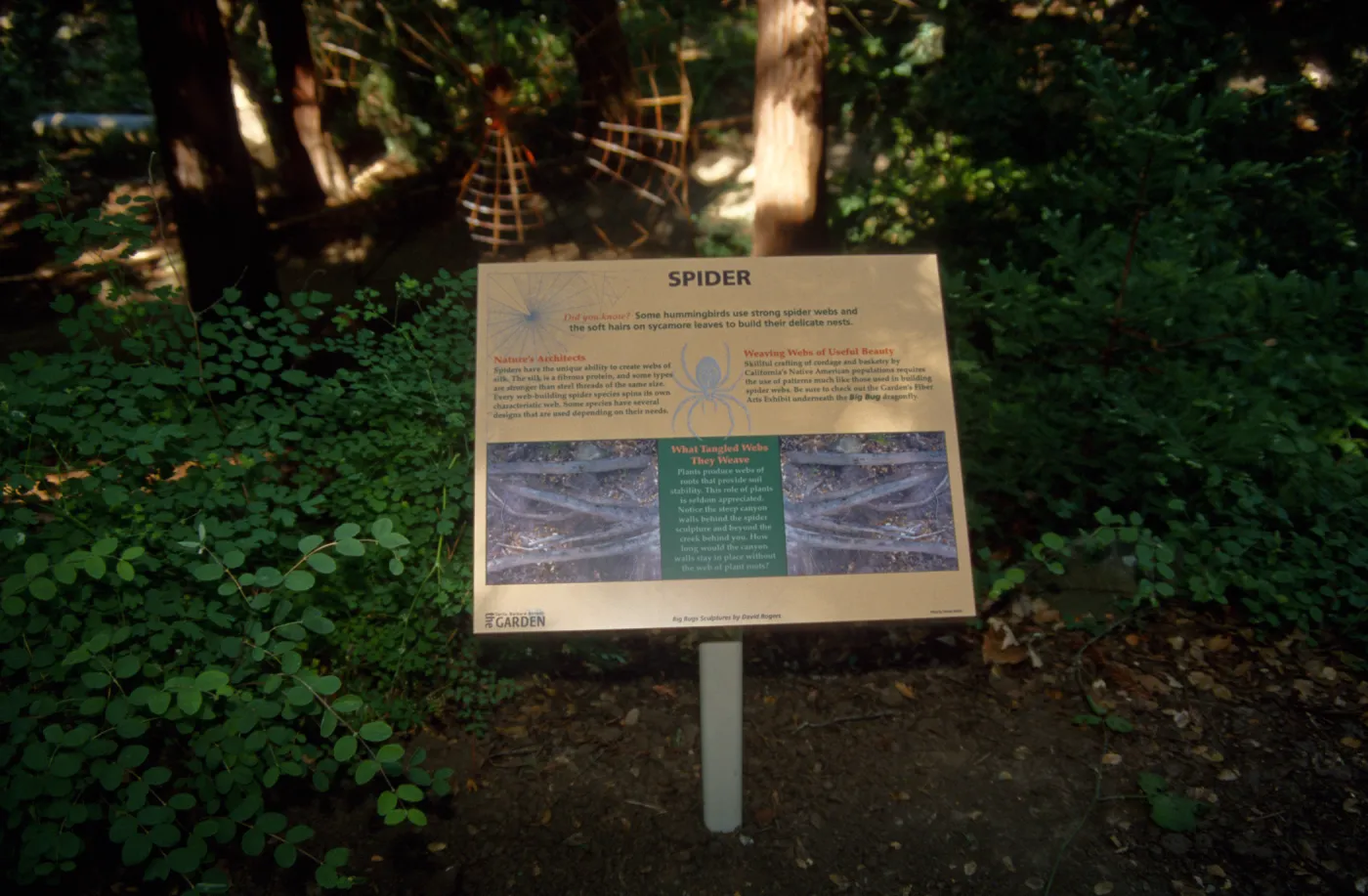 Big Bugs Spider sign