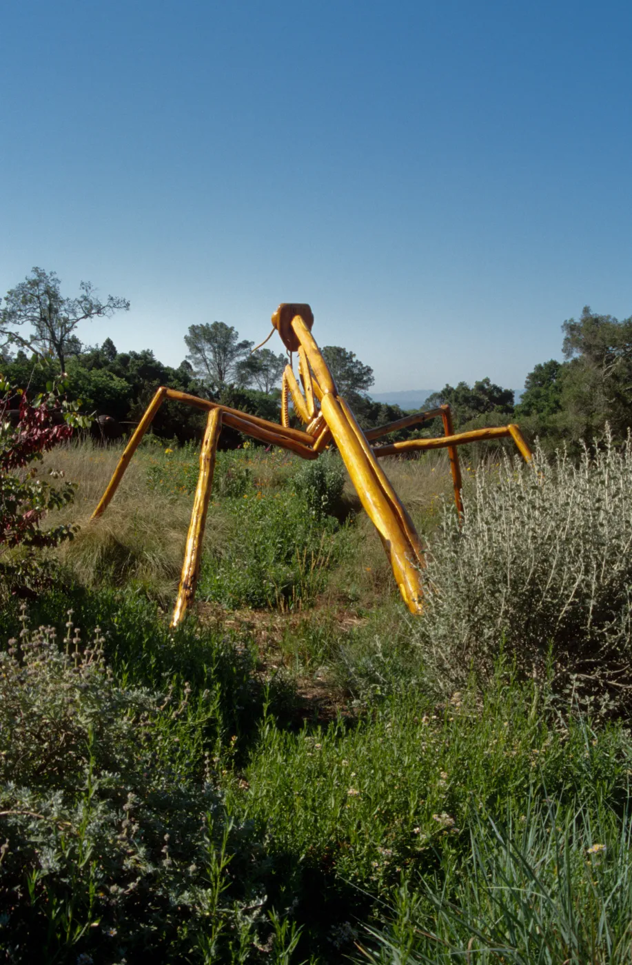 Big Bugs Praying Mantis installation
