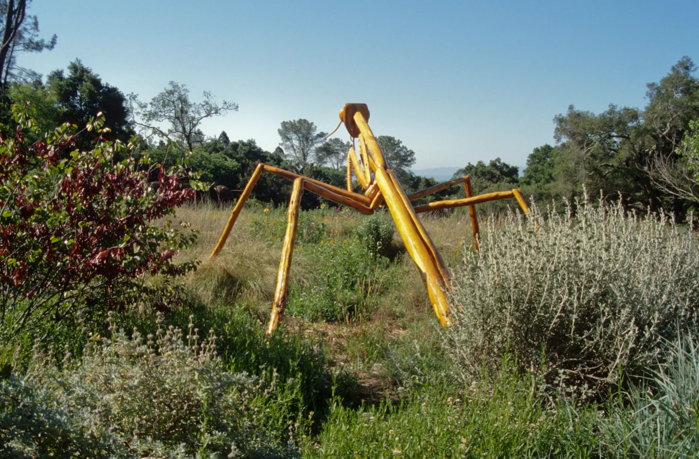Big Bugs Praying Mantis installation
