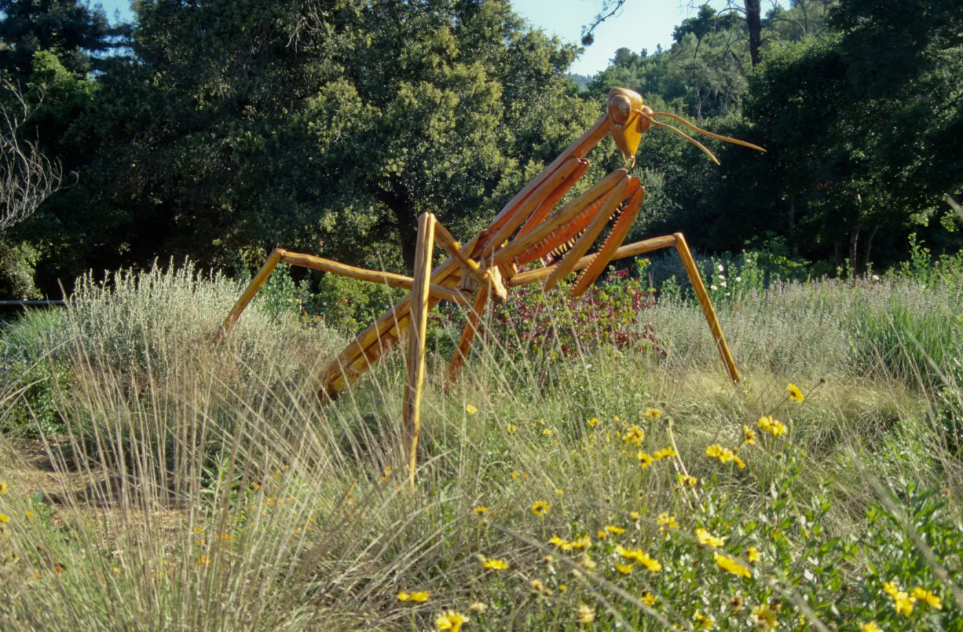 Big Bugs Praying Mantis installation