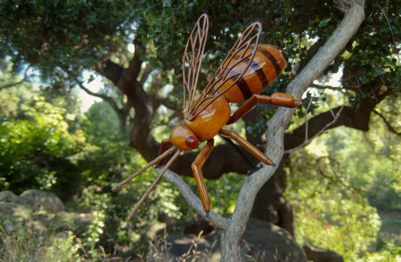Big Bugs Honey Bee installation