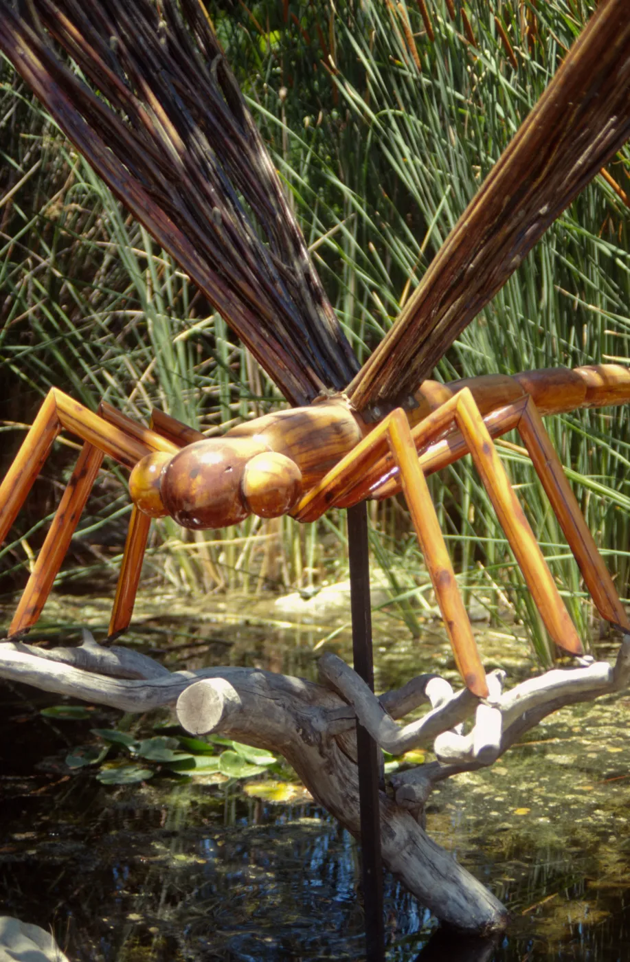 Big Bugs Dragonfly installation
