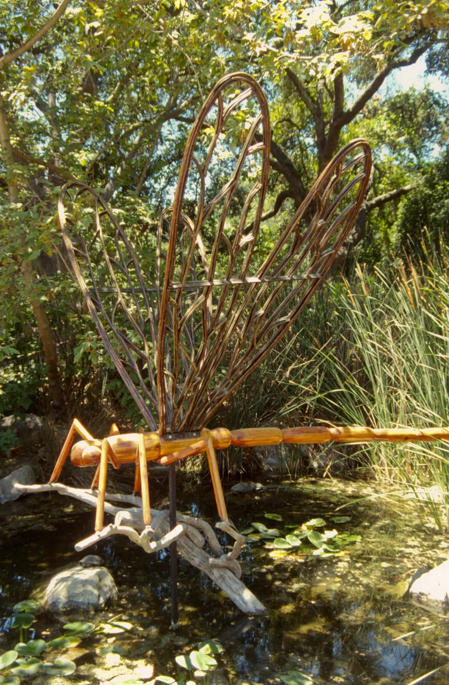 Big Bugs Dragonfly installation