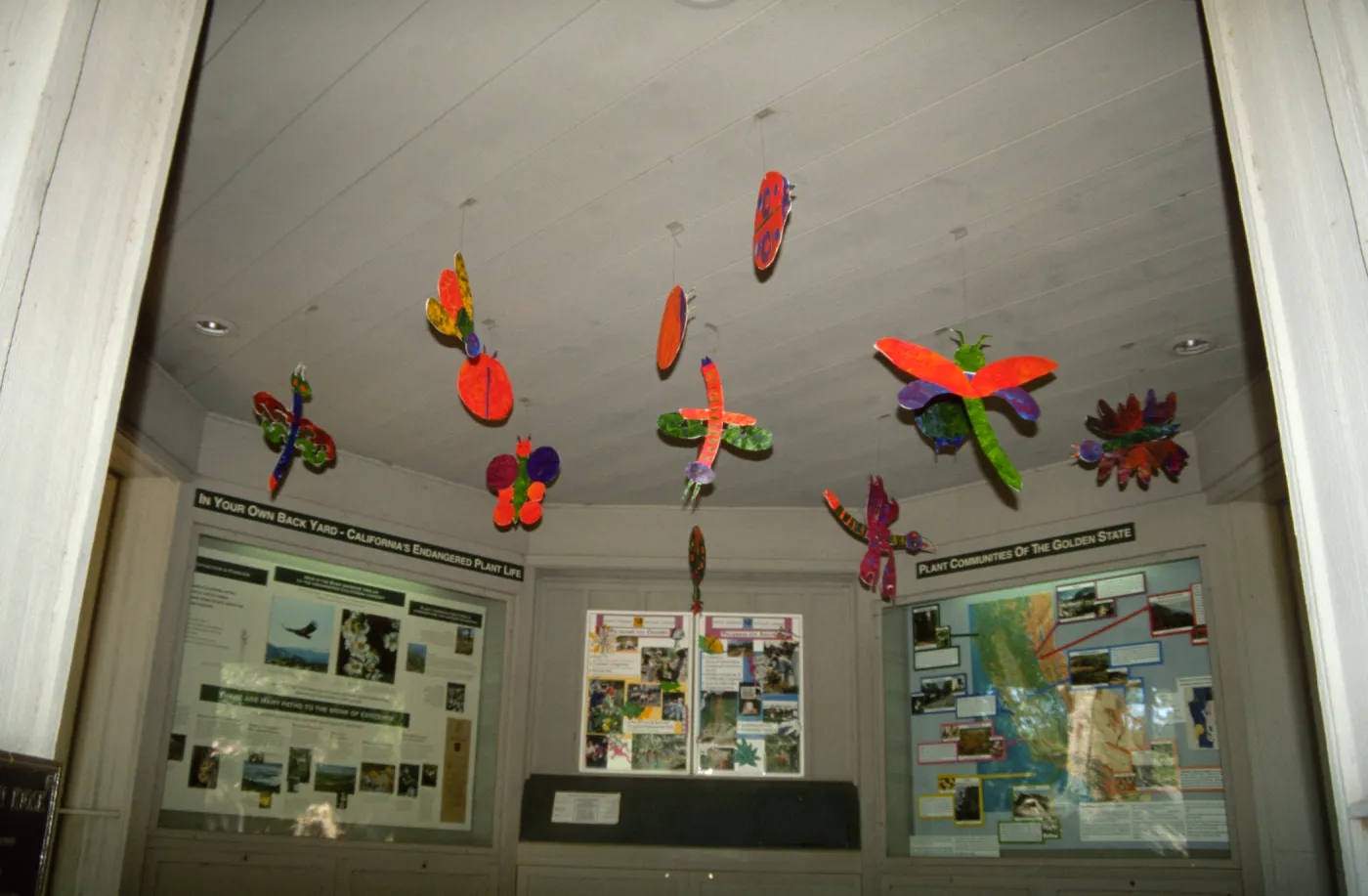 Big Bugs in Information Kiosk