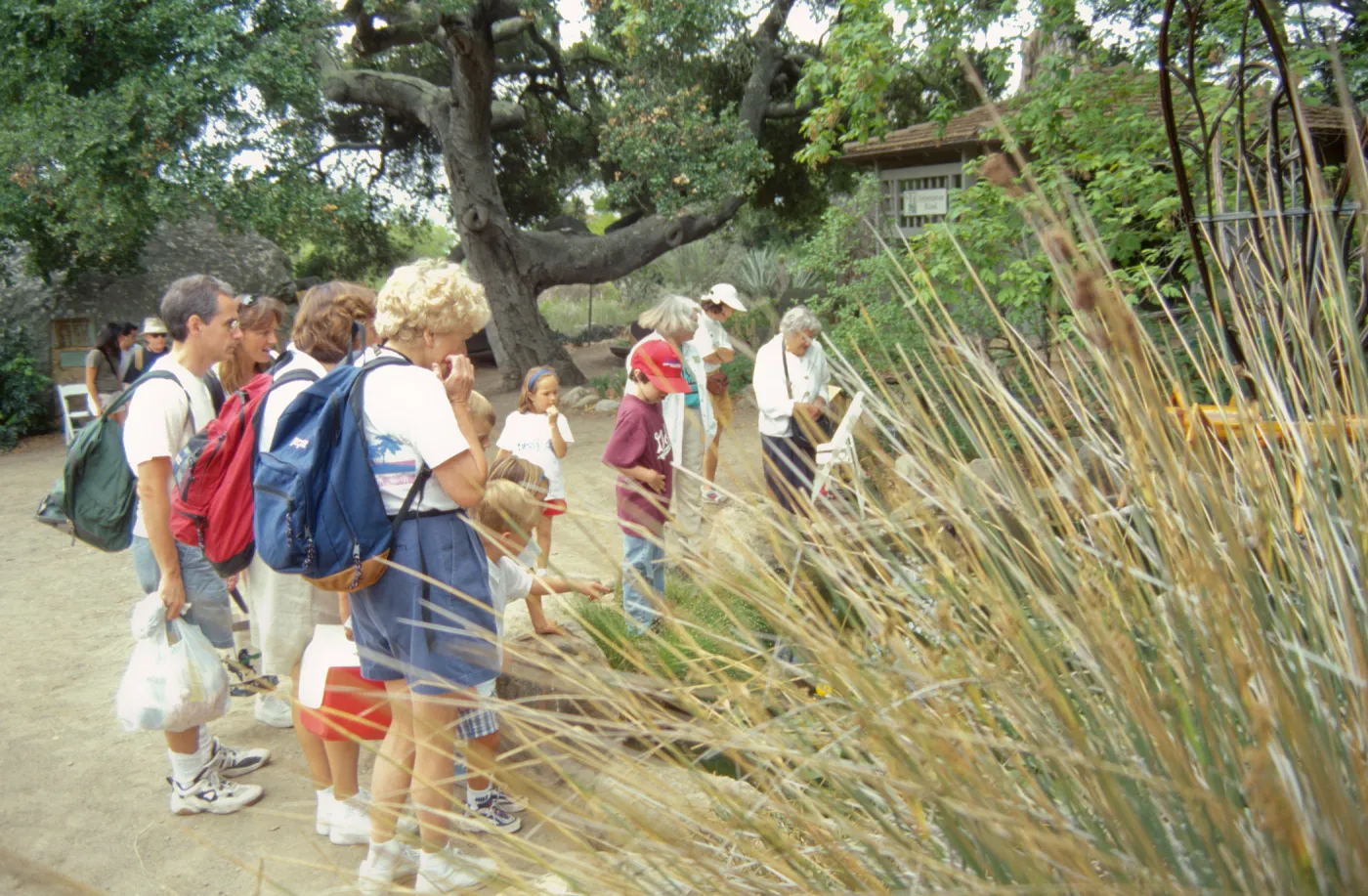Big Bugs, docent tour by the Meadow Pond