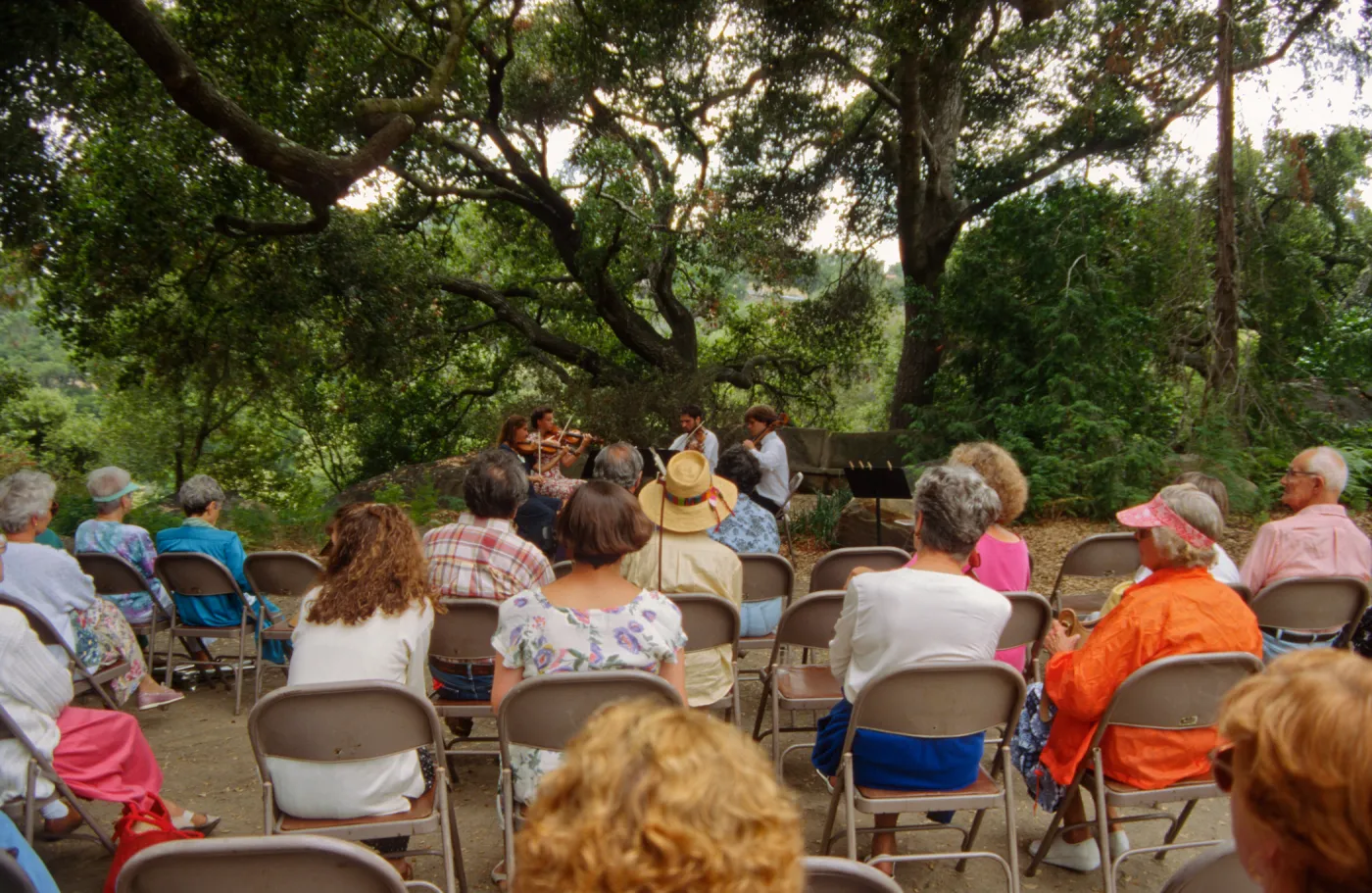 Music Academy of the West Concert, under the Meadow Oaks