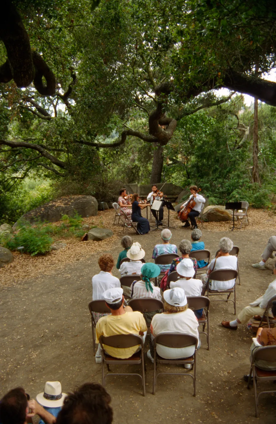 Music Academy of the West Concert, under the Meadow Oaks