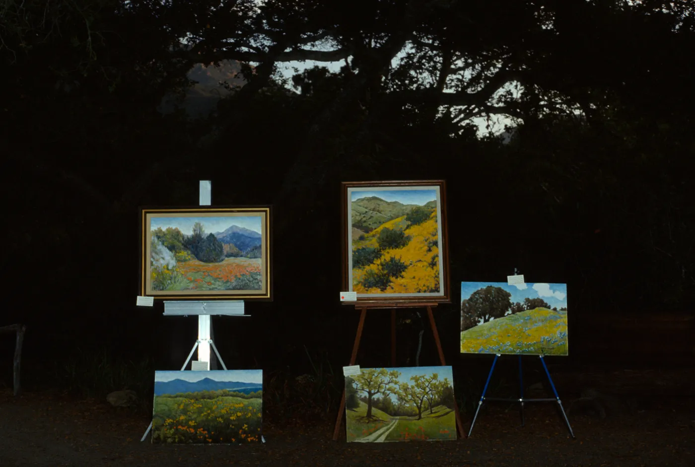Art Inspired in the Garden Fundraiser