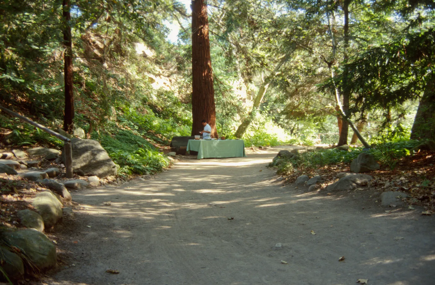 Redwood Dinner 1999