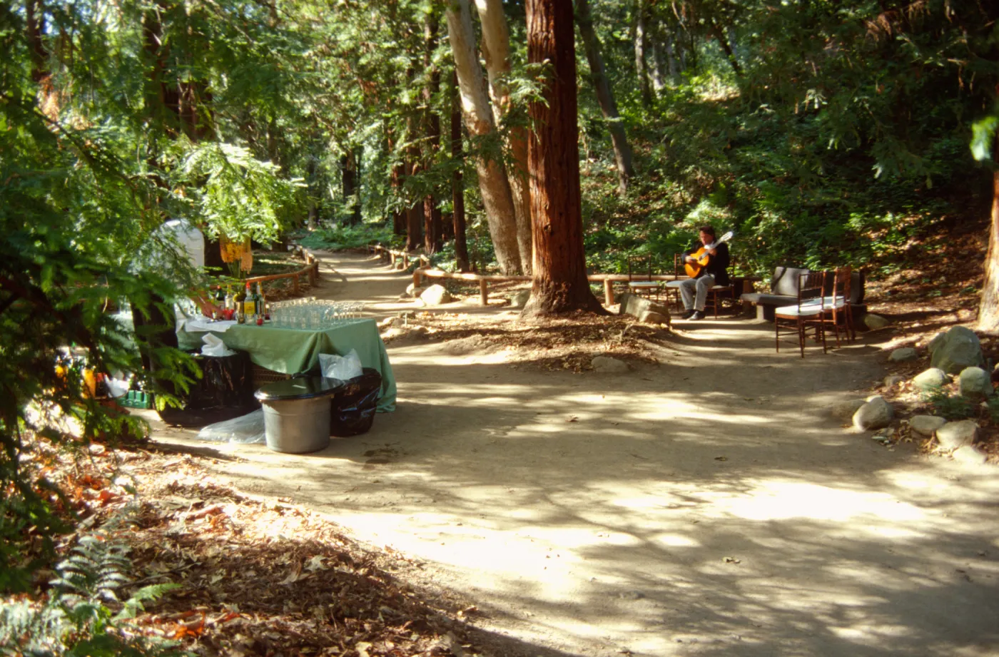 Redwood Dinner 1999