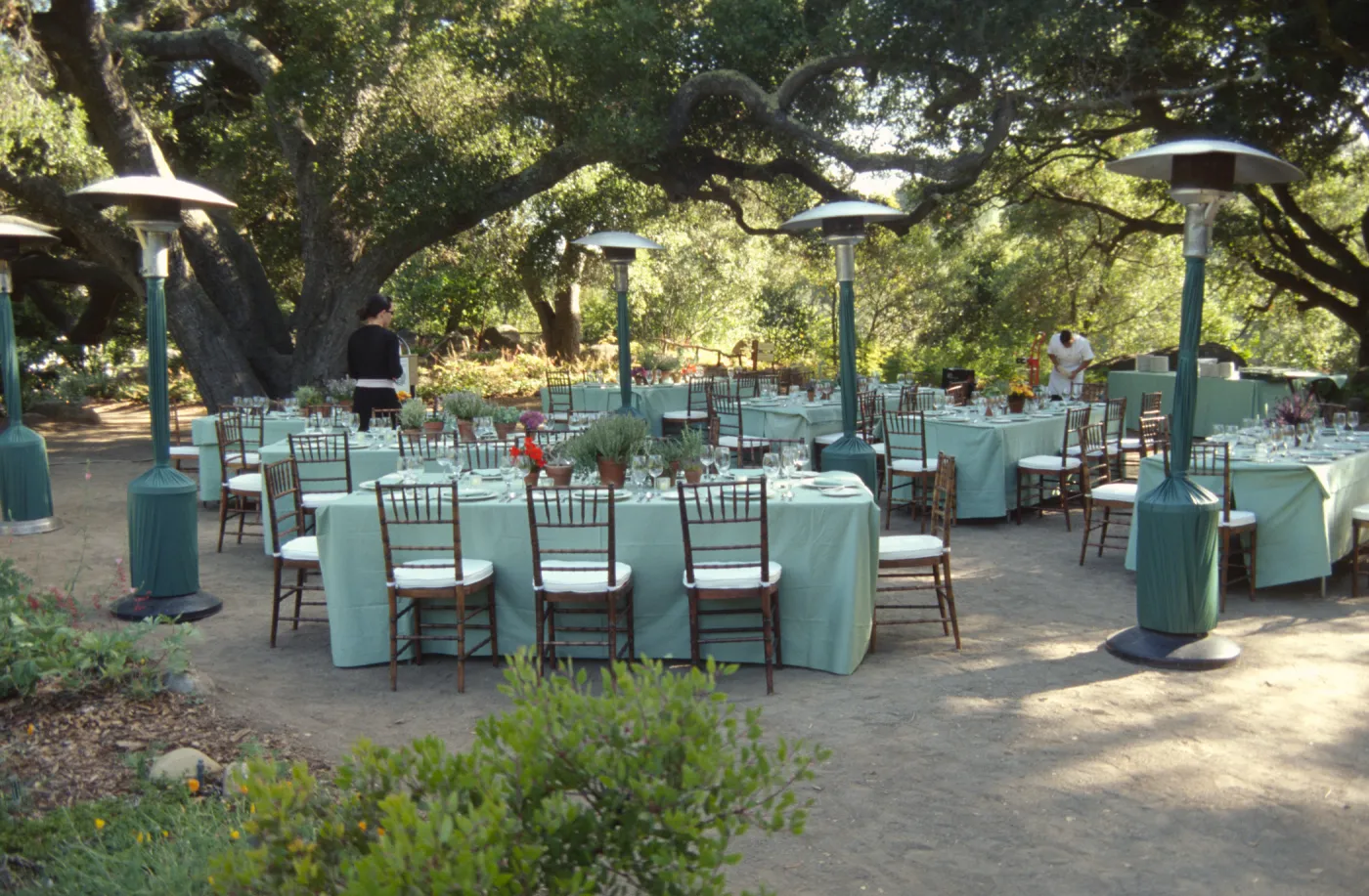 Redwood Dinner 1999