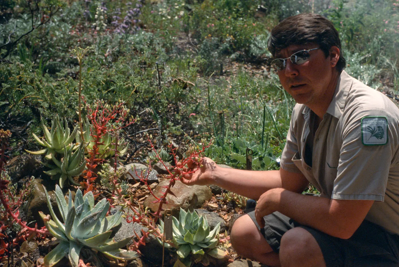Dudleya NAPCC Evaluation, Bruce Reed