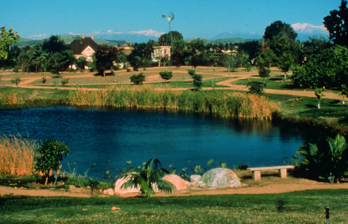 This slide depicts the view across Tropica Lake to the Dr. George C, Clark Heritage Cottage on a sunny winter's day.