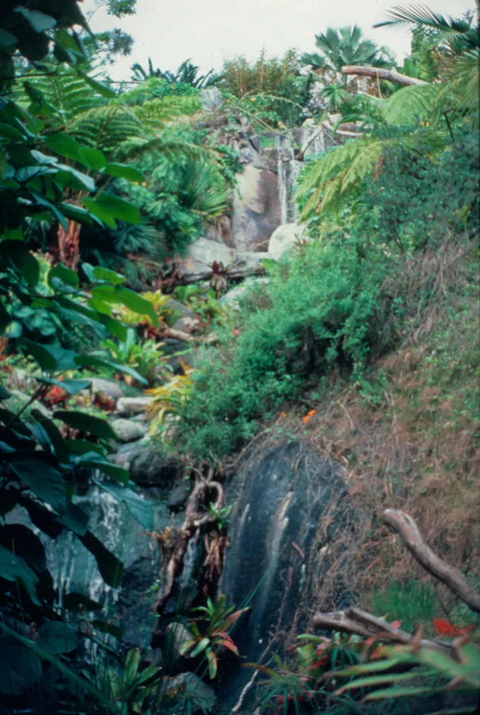Mildred MacPherson Waterfall is one of the most popular spots in the garden.