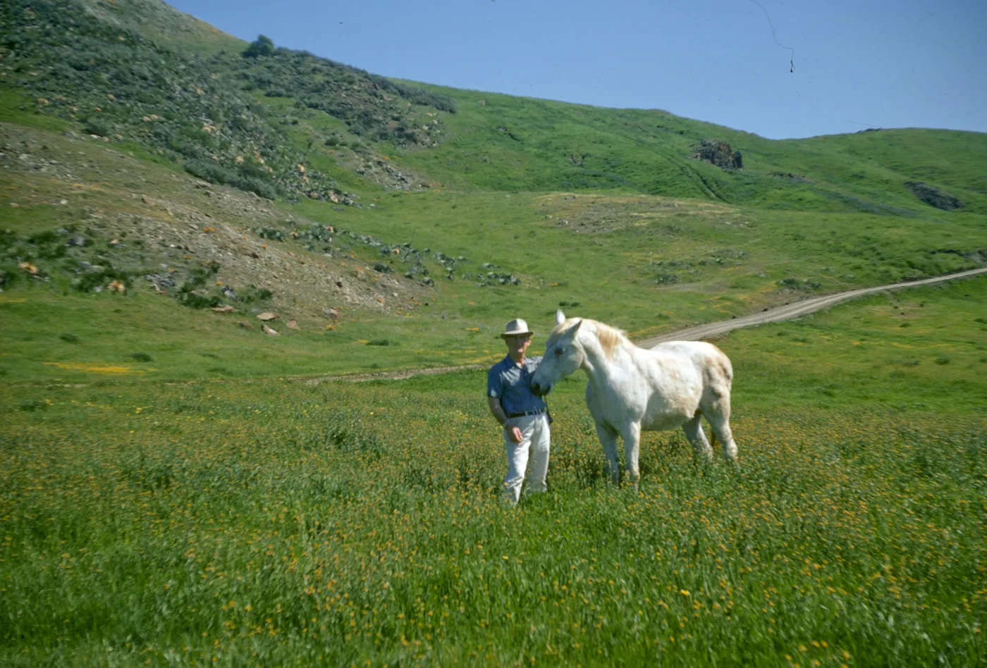 De la Guerra Springs, Pete and white horse