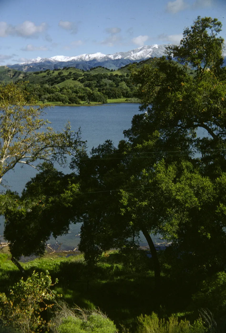 Lake Cachuma, snow on the San Rafaels, green hills, oak savannah and chaparral