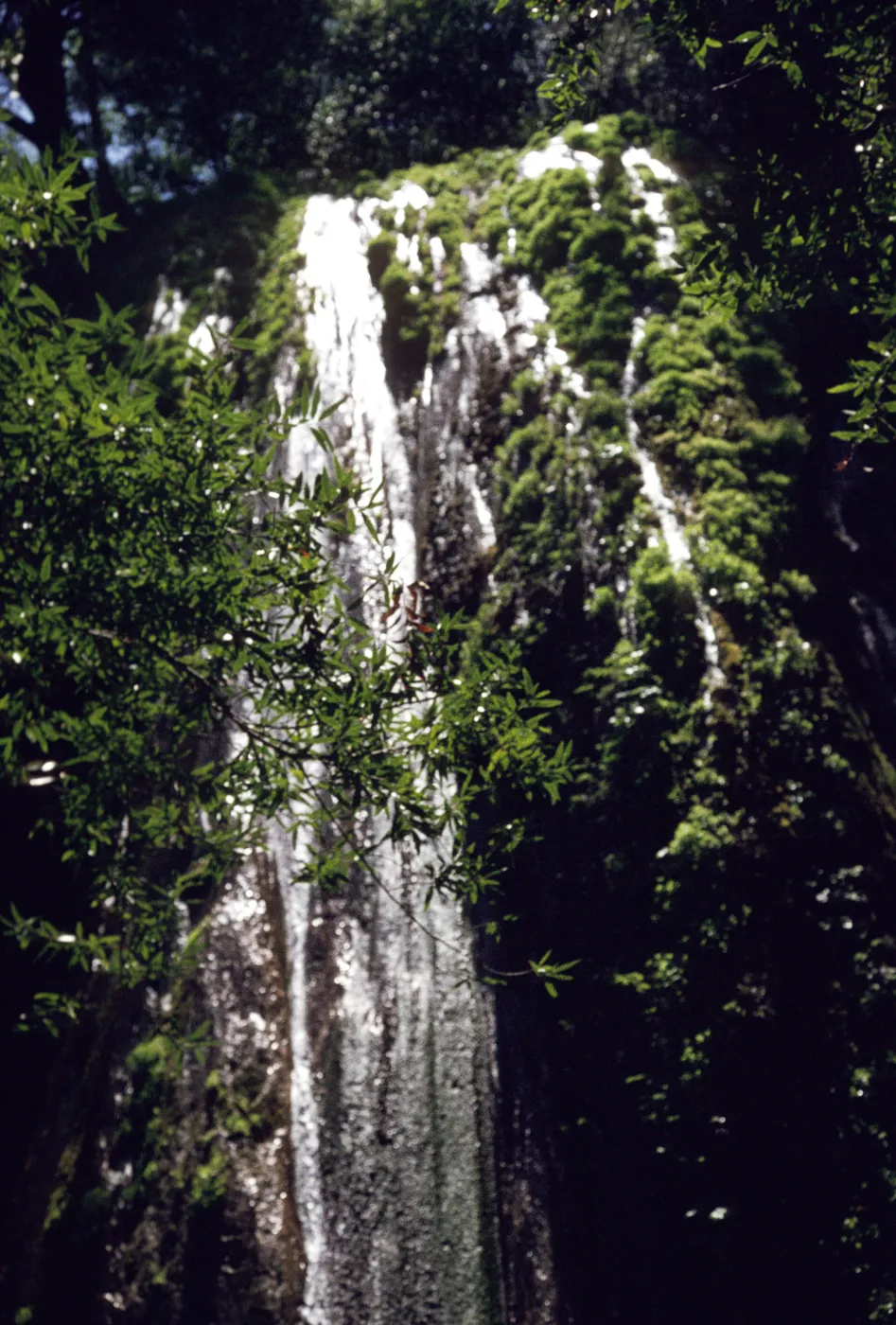 Rose Valley Falls, waterfall