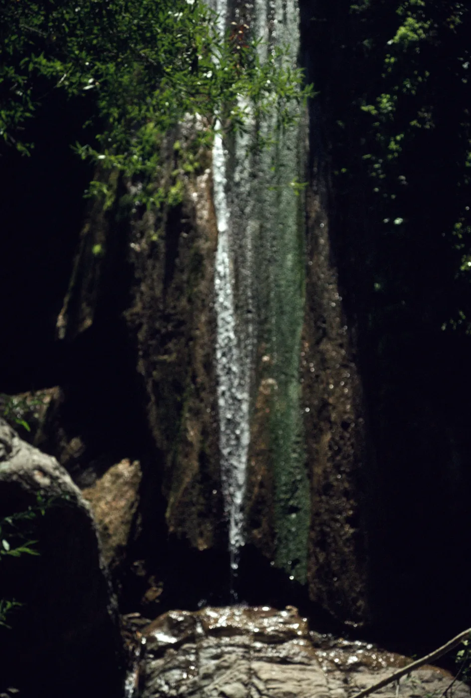 Rose Valley Lower Falls