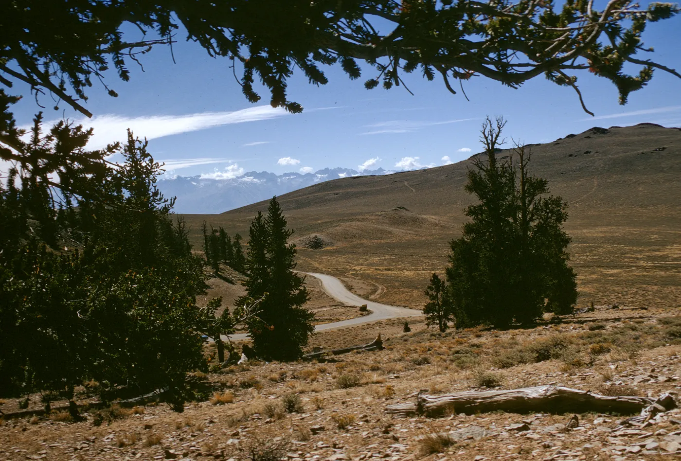 White Mountains summit, Sierra ridge in distance