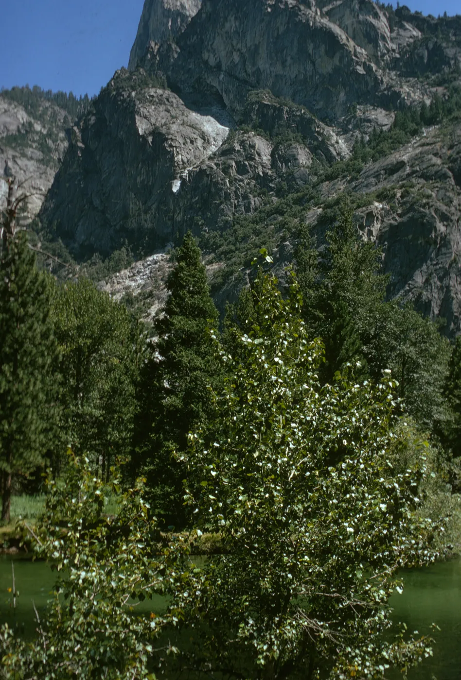 Kings Canyon National Park, rock outcrop, meadow