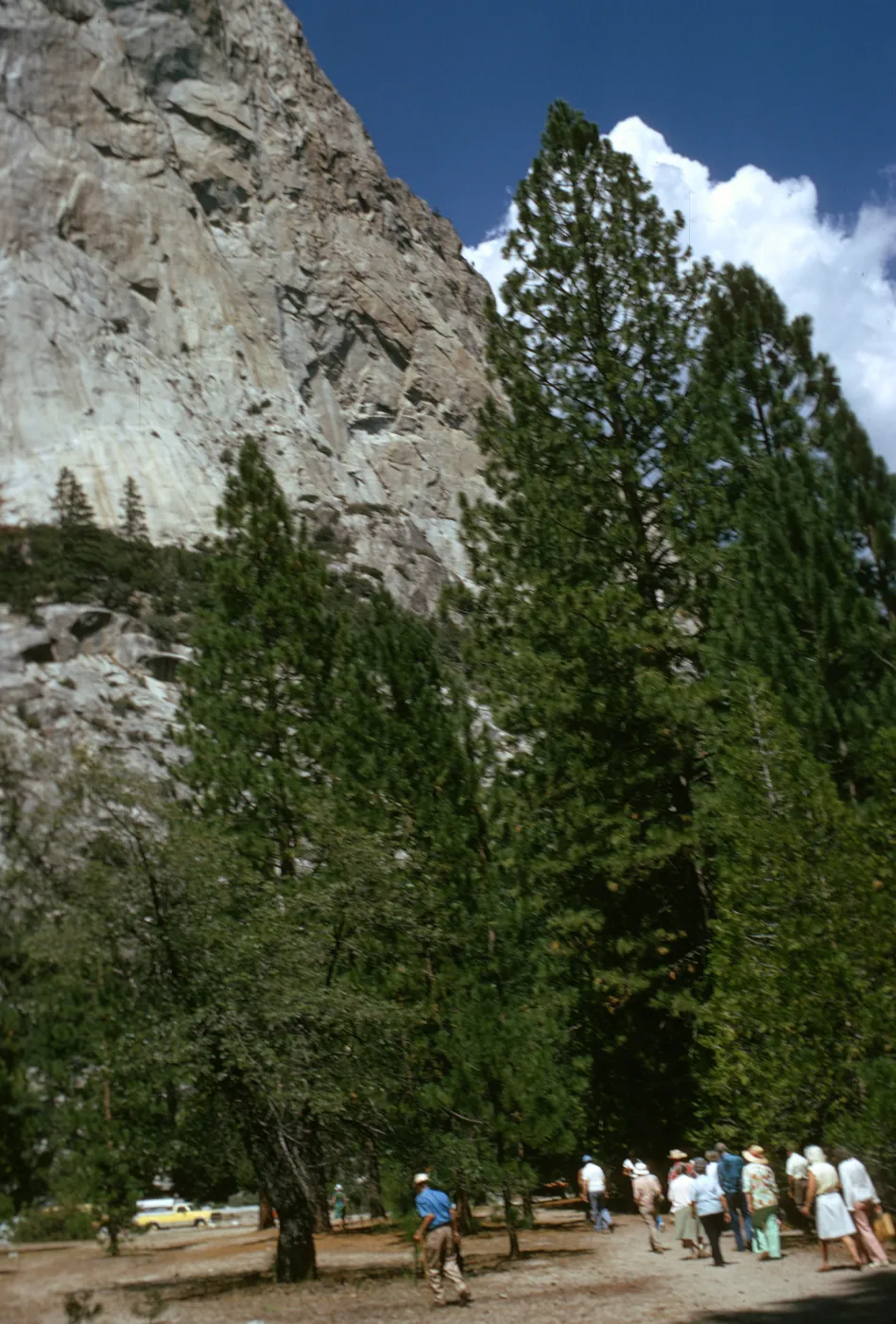 Kings Canyon National Park, canyon wall